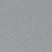 Shimmering Silver Metallic